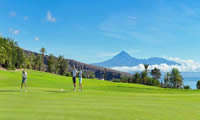 tecina golf course